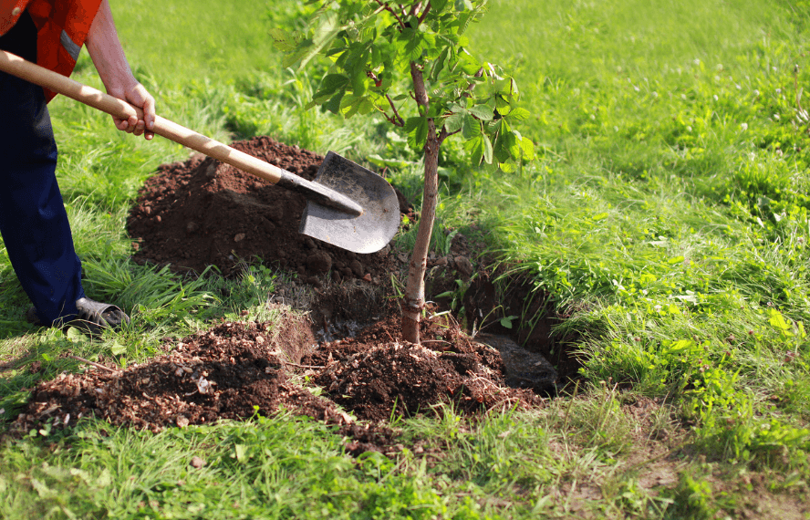 Gabes Family Landscaping LLC